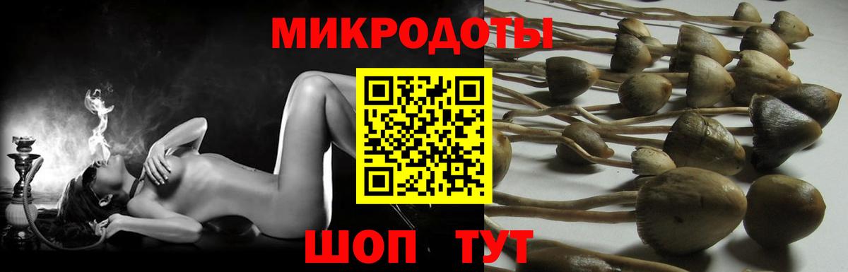 наркошоп  Псилоцибиновые грибы прущие грибы  Скопин  Вход с VPN  Галлюциногенные грибы прущие грибы 