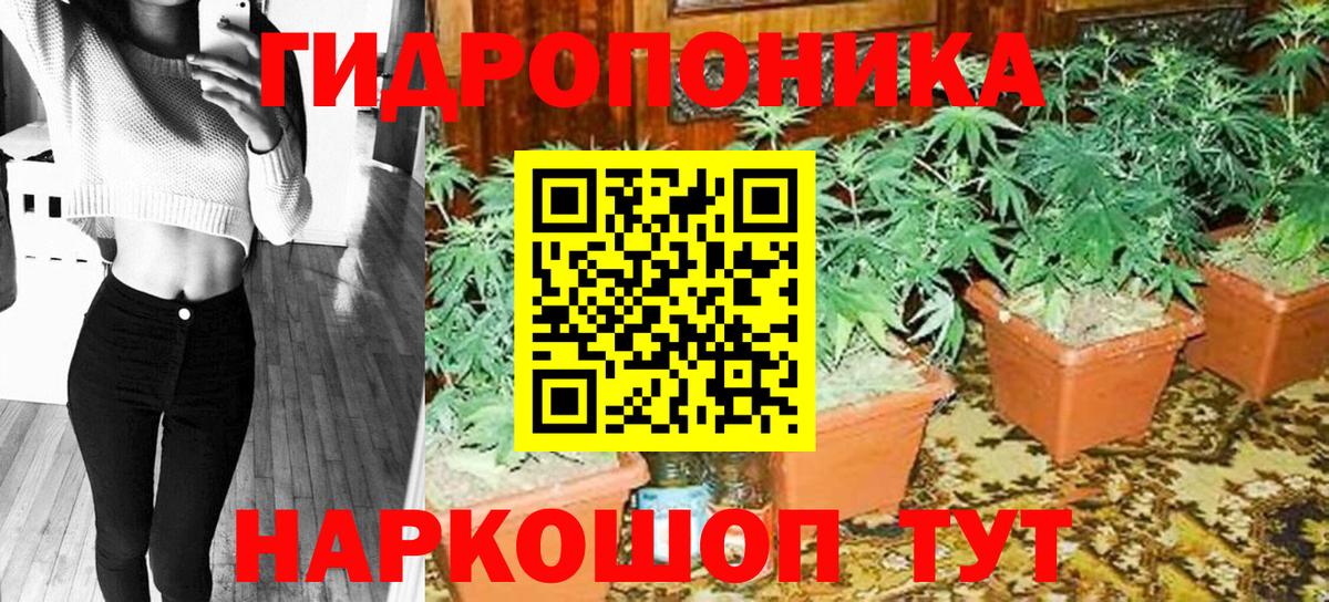 Конопля AK-47  Марихуана план  Вход с VPN  Скопин 
